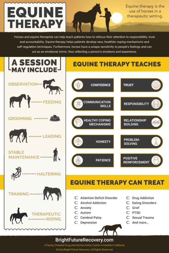 equine therapy business plan
