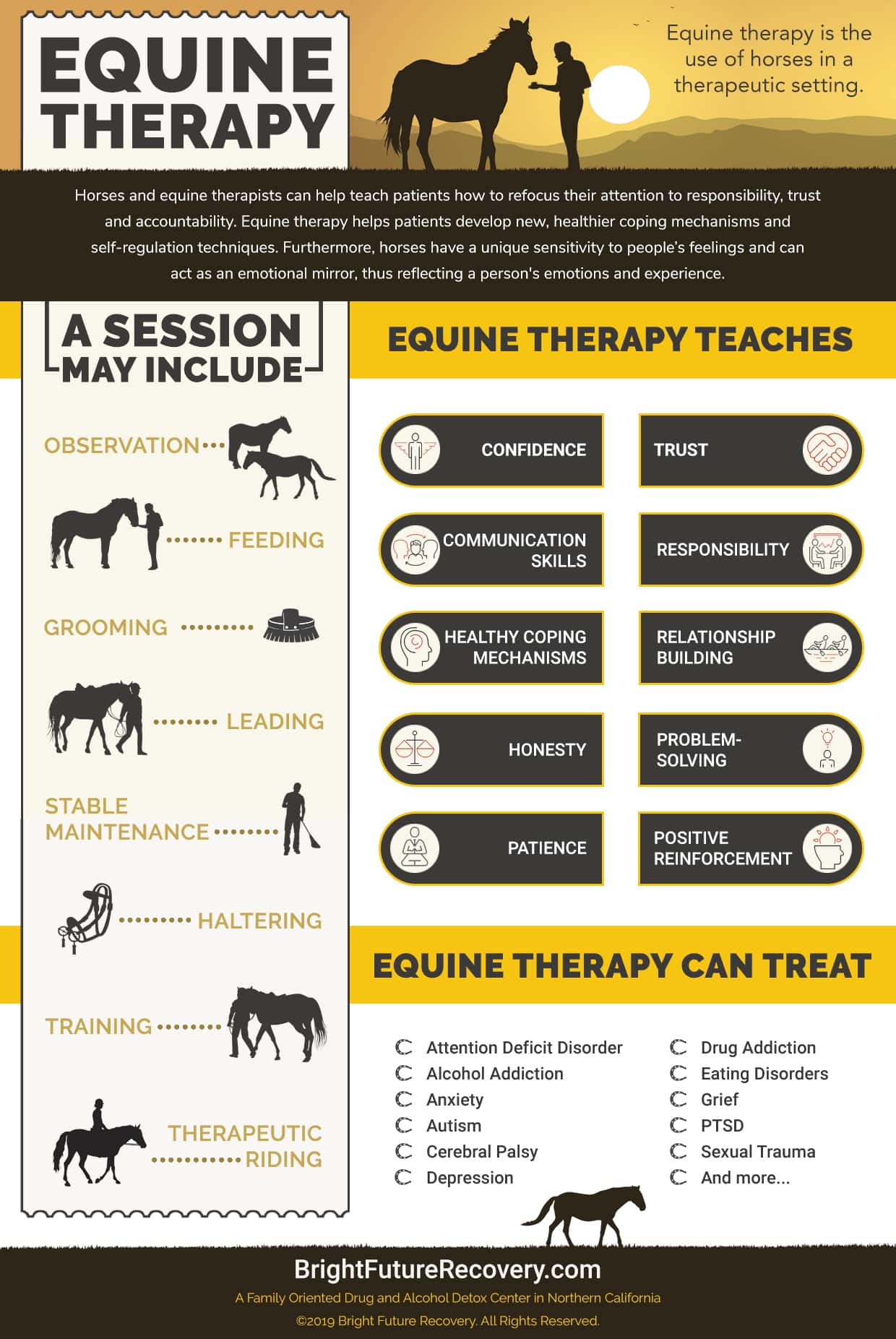 Equine Therapy Infographic